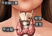 治療?甲亢的中醫具體實施方法