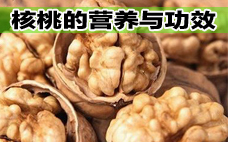 核桃是不是補腦的 為什么核桃像大腦