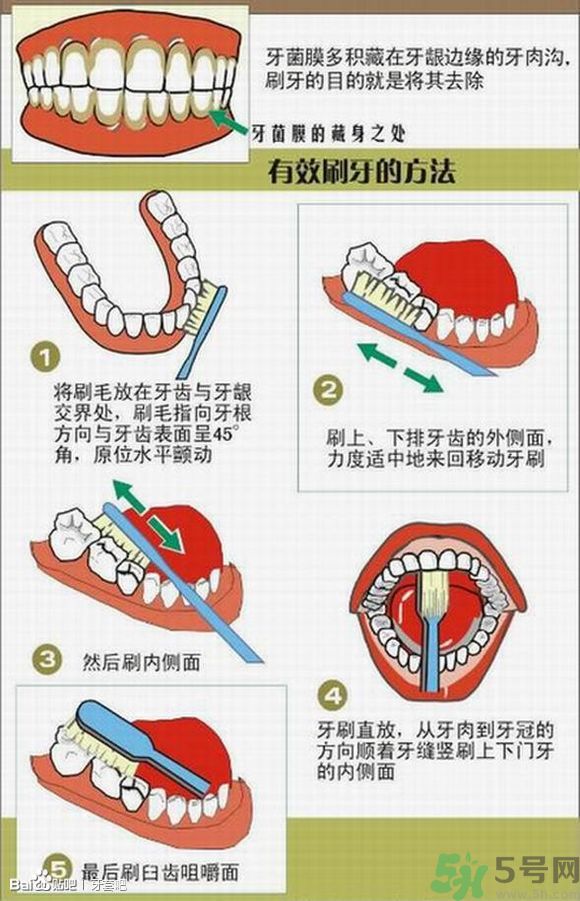 18歲還能戴牙套嗎？戴牙套真的能瘦臉改變臉型嗎？