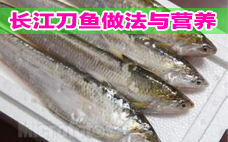 秋刀魚是刀魚嗎？秋刀魚和刀魚的區別