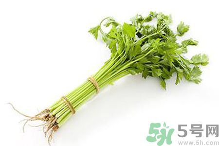 芹菜可以減肥嗎？芹菜有什么功效？