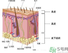 為什么頭發越來越油？頭發應該幾天洗一次？