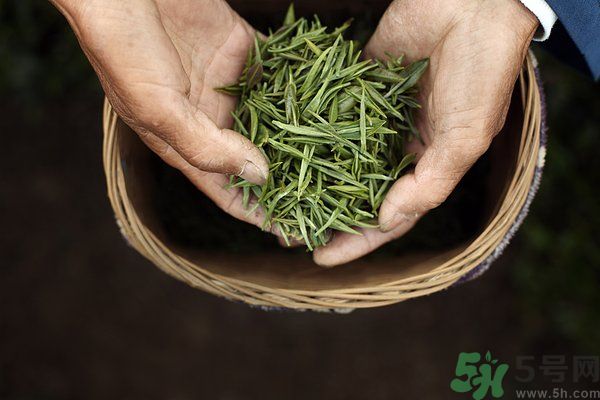 吃魚的時候能喝茶嗎？吃魚可以喝茶嗎？