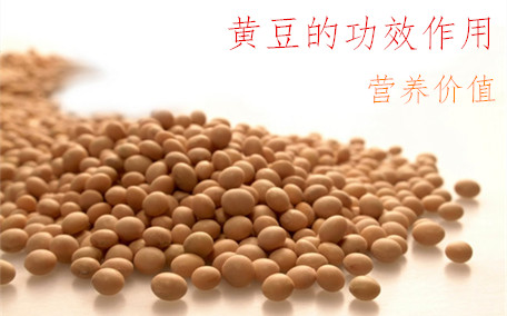 紅蕓豆是什么 紅蕓豆怎么吃