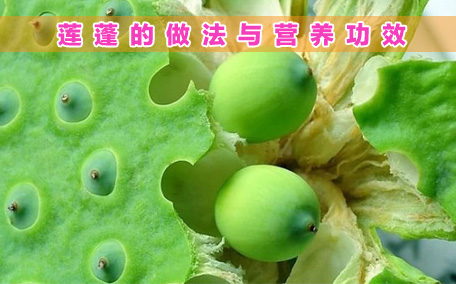 什么是蓮蓬呢 蓮蓬有什么營養(yǎng)價值呢