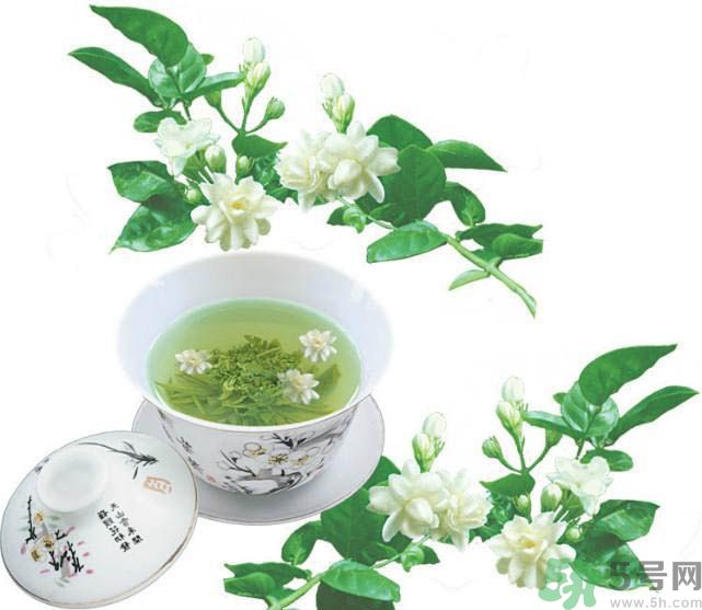 茉莉花茶是熱性還是涼性？茉莉花茶是涼性嗎？