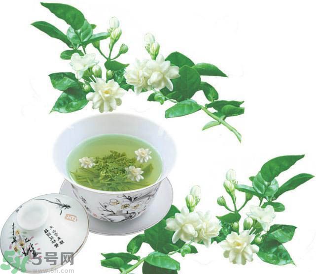 茉莉花茶可以減肥嗎？怎樣喝茉莉花茶可以減肥？