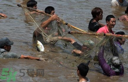 發洪水怎么抓魚？發洪水時的抓魚方法