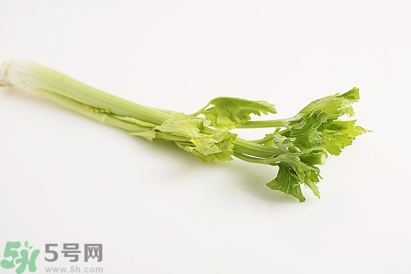 芹菜對精子有害嗎？芹菜對精子質量有什么影響？