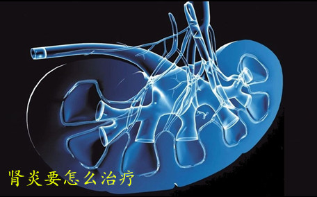 腎炎和腎病的區別 腎炎和腎病是一回事嗎