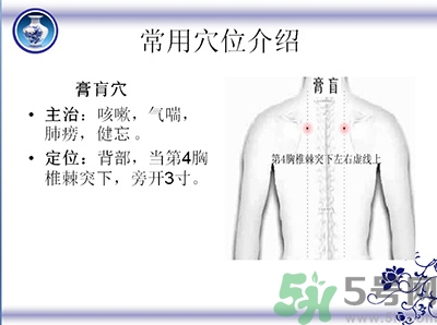 三伏貼可以貼肚臍嗎？三伏貼可以貼肚臍眼嗎？