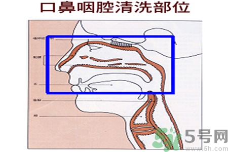 鼻炎能用生理鹽水清理鼻腔嗎？鼻炎能不能用生理鹽水清理鼻腔？