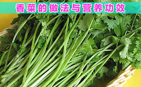 香菜降血壓?jiǎn)?香菜吃了對(duì)身體有什么好處