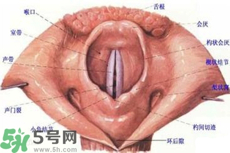 慢性咽炎的發病因素？慢性咽炎的并發癥有哪些？