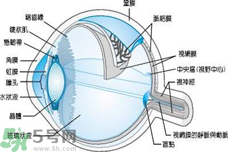 近視眼是什么？近視眼的癥狀有哪些？