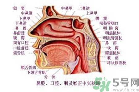 鼻咽癌的日常措施是什么？鼻咽癌注意的飲食有哪些？