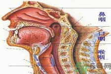 鼻咽癌的治療方法是什么？鼻咽癌可以用什么藥物治療？