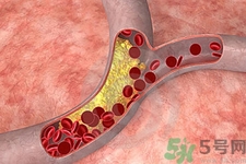膽固醇對人體有傷害嗎？膽固醇是什么？