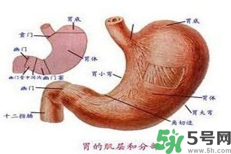 急性腸胃炎哪些食物不可以吃？急性腸胃炎不能吃的水果有？