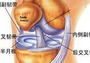 前十字韌帶斷裂可以參加比賽嗎？前十字韌帶斷裂怎么治療？