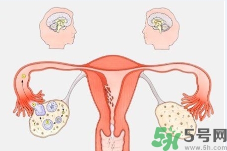 陰道出血癥狀有哪些？陰道出血需注意什么問(wèn)題？