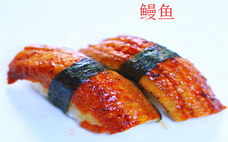 鰻魚(yú)