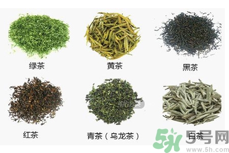 如何自制減肥茶？自制減肥茶需要哪些材料？