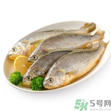 小黃魚的營養價值 小黃魚的功效與作用