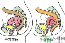 子宮移位的原因是什么？子宮移位的癥狀有哪些？