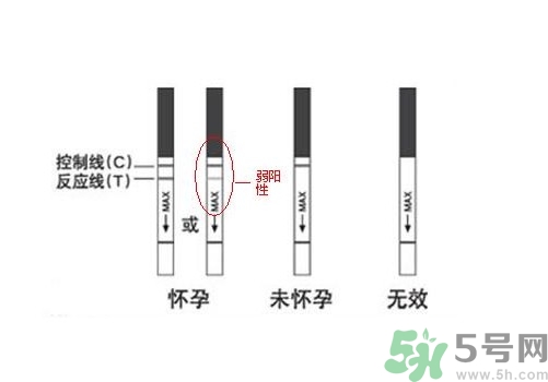 怎么測是否懷孕？早孕試紙怎么用？