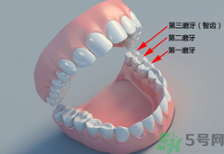 磨牙能治好嗎?睡覺為什么會磨牙