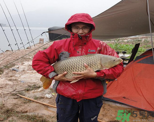 十月份可以釣魚嗎？十月份釣魚用什么餌料？