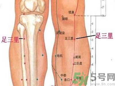 艾灸足三里有什么好處？艾灸足三里的功效