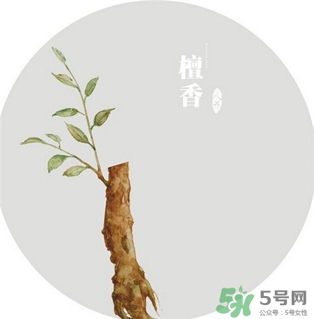 點檀香的好處 檀香的功效與作用