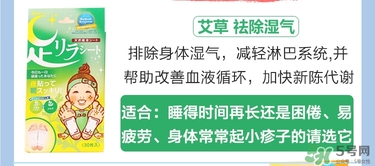 樹之惠足貼5款區別？樹之惠足貼哪款好用？