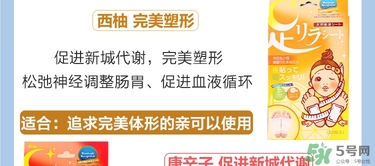 樹之惠足貼5款區別？樹之惠足貼哪款好用？