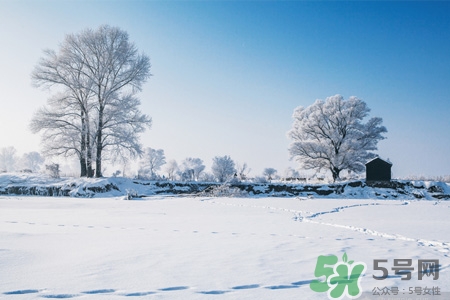 下雪高鐵會停運嗎？下雪天會影響高鐵嗎？