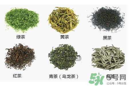 吃完飯能馬上喝茶嗎？飯前喝茶好還是飯后喝茶好？