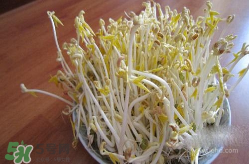 豆芽糖尿病可以吃嗎？糖尿病吃豆芽有什么好處？