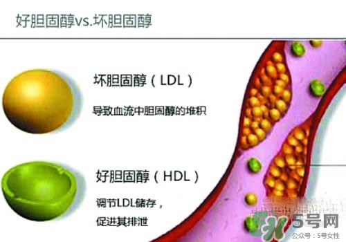 膽固醇高是血脂稠嗎？膽固醇高和血脂稠有什么聯系？