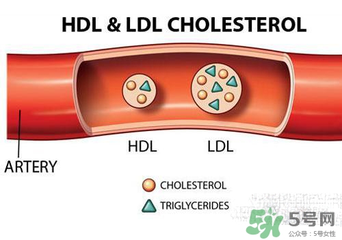 膽固醇高是血脂稠嗎？膽固醇高和血脂稠有什么聯系？