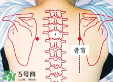 膏肓的準確位置圖 膏肓穴痛跟什么有關