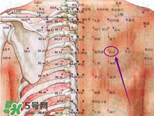 膏肓的準確位置圖 膏肓穴痛跟什么有關