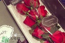 roseonly鮮花多少錢？roseonly永生花多少錢？