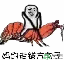 說人皮皮蝦是什么意思？女生叫男生皮皮蝦什么意思？