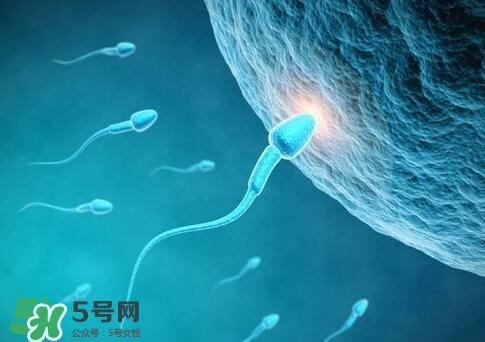 如何提高精子質量與成活率？精子質量怎么調理？