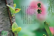 驚蟄吃什么蔬菜好？驚蟄節(jié)氣養(yǎng)生吃什么蔬菜？