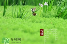 驚蟄吃什么蔬菜好？驚蟄節(jié)氣養(yǎng)生吃什么蔬菜？