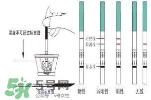 驗孕試紙準嗎？驗孕試紙怎么看求圖解