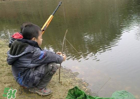 驚蟄能釣魚嗎？驚蟄釣什么魚好？